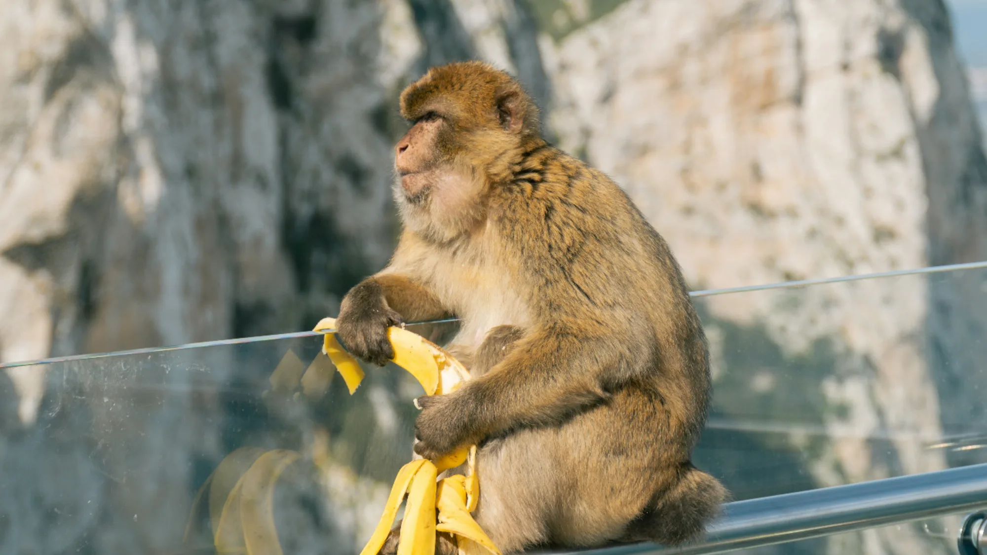 Gibraltar — private tours