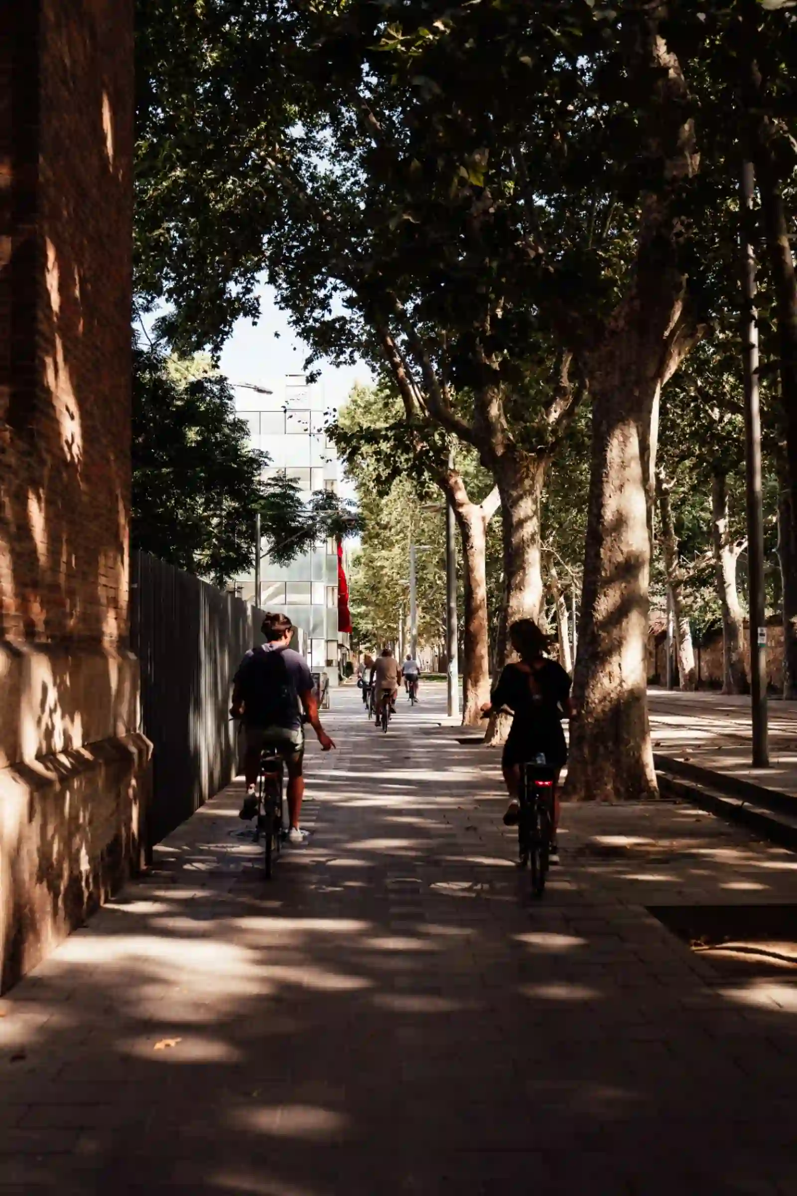 Tree-lined bike path in the Ciutadella, Barcelona