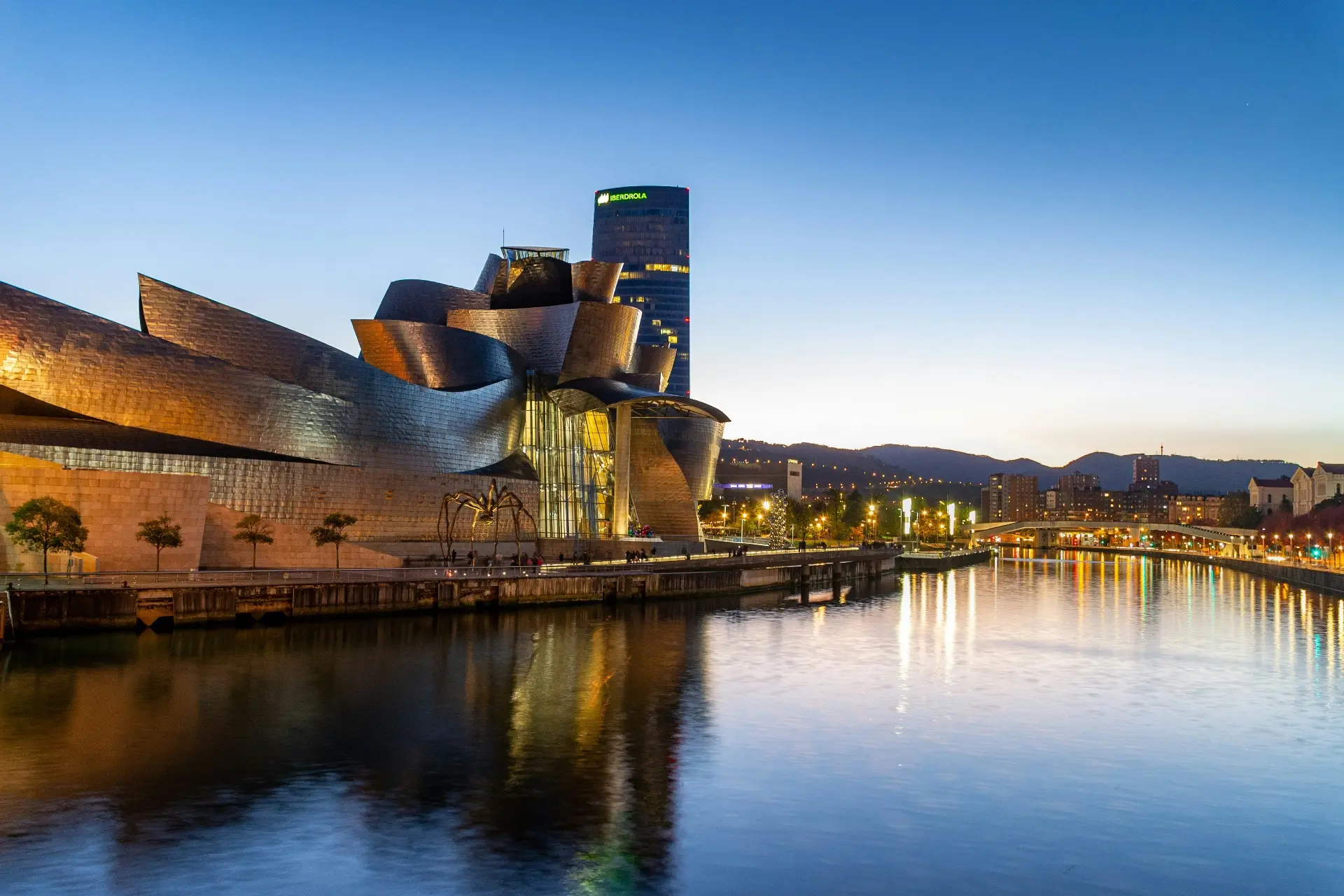 Bilbao essential private tour