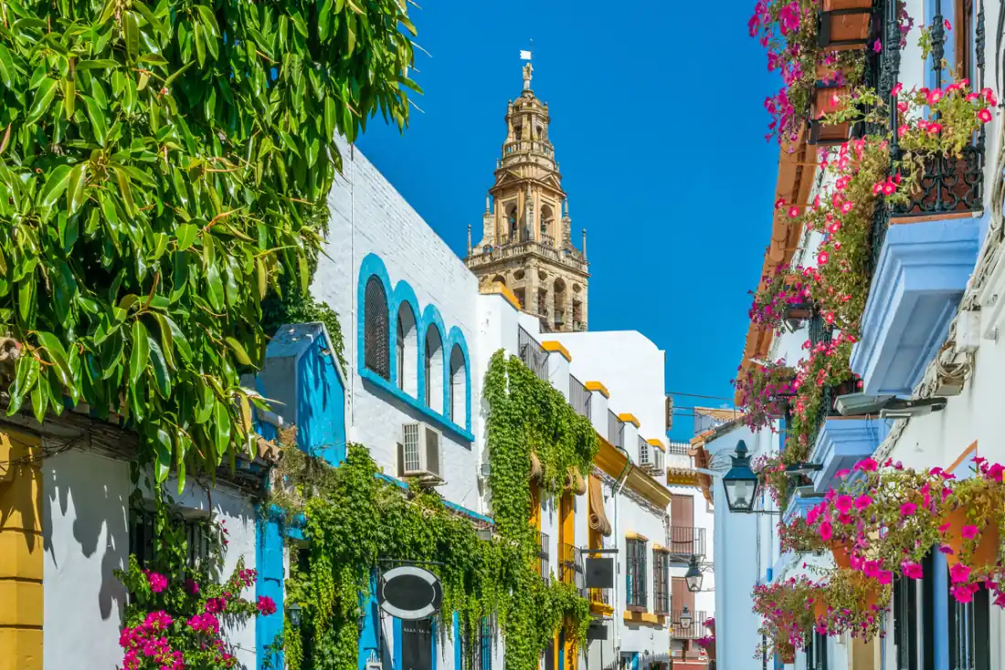 Flower-filled street in the Jewish Quarter of Cordoba with the Mezquita bell tower in the background