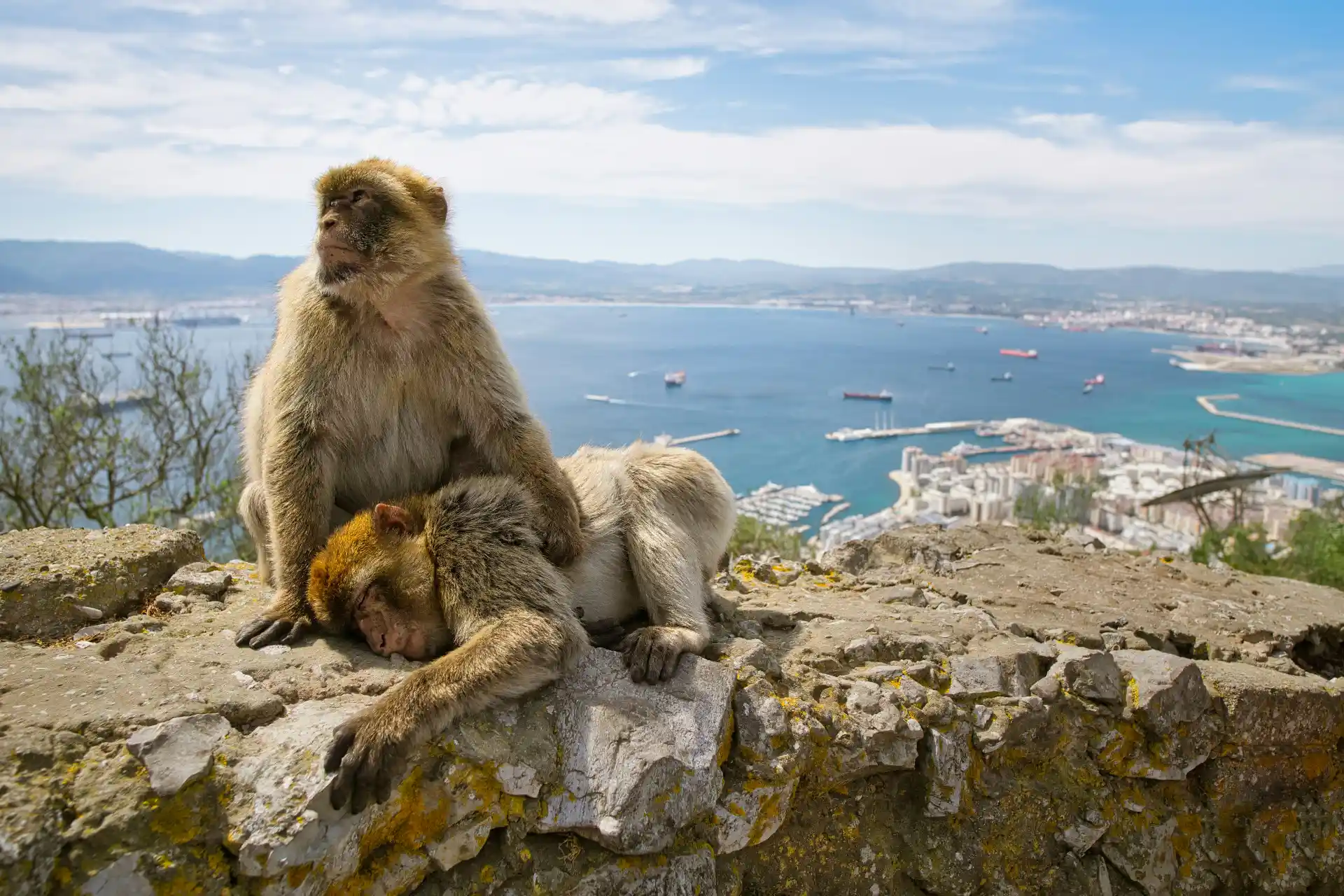 Gibraltar private day trip from Seville