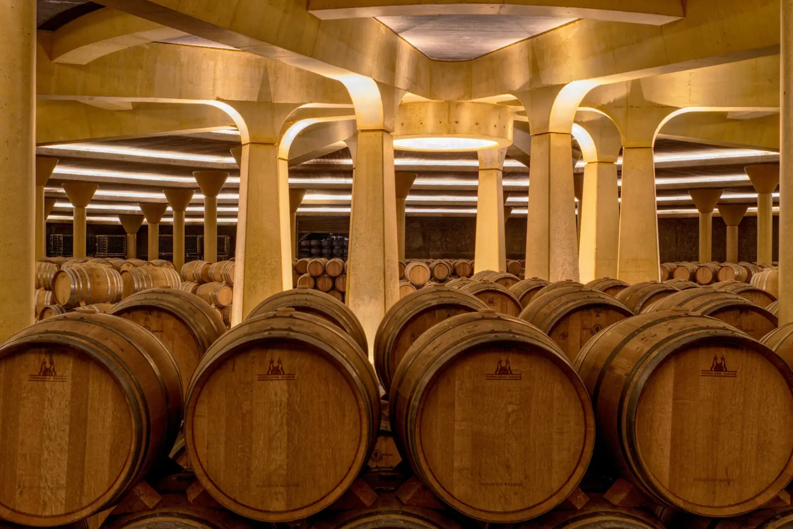 Traditional Jerez sherry bodega with rows of oak barrels and two glasses of amber sherry