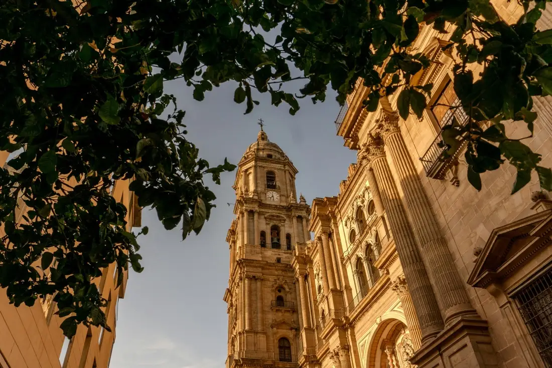 Malaga Cathedral bell tower framed by trees in the historic center at golden hour