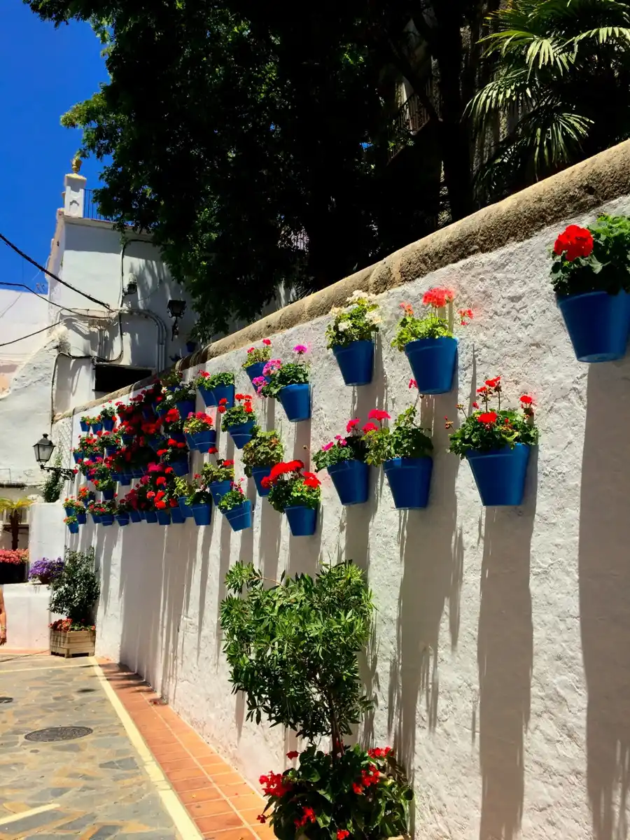 Whitewashed wall in Marbella's Old Town decorated with blue flower pots full of red and pink geraniums