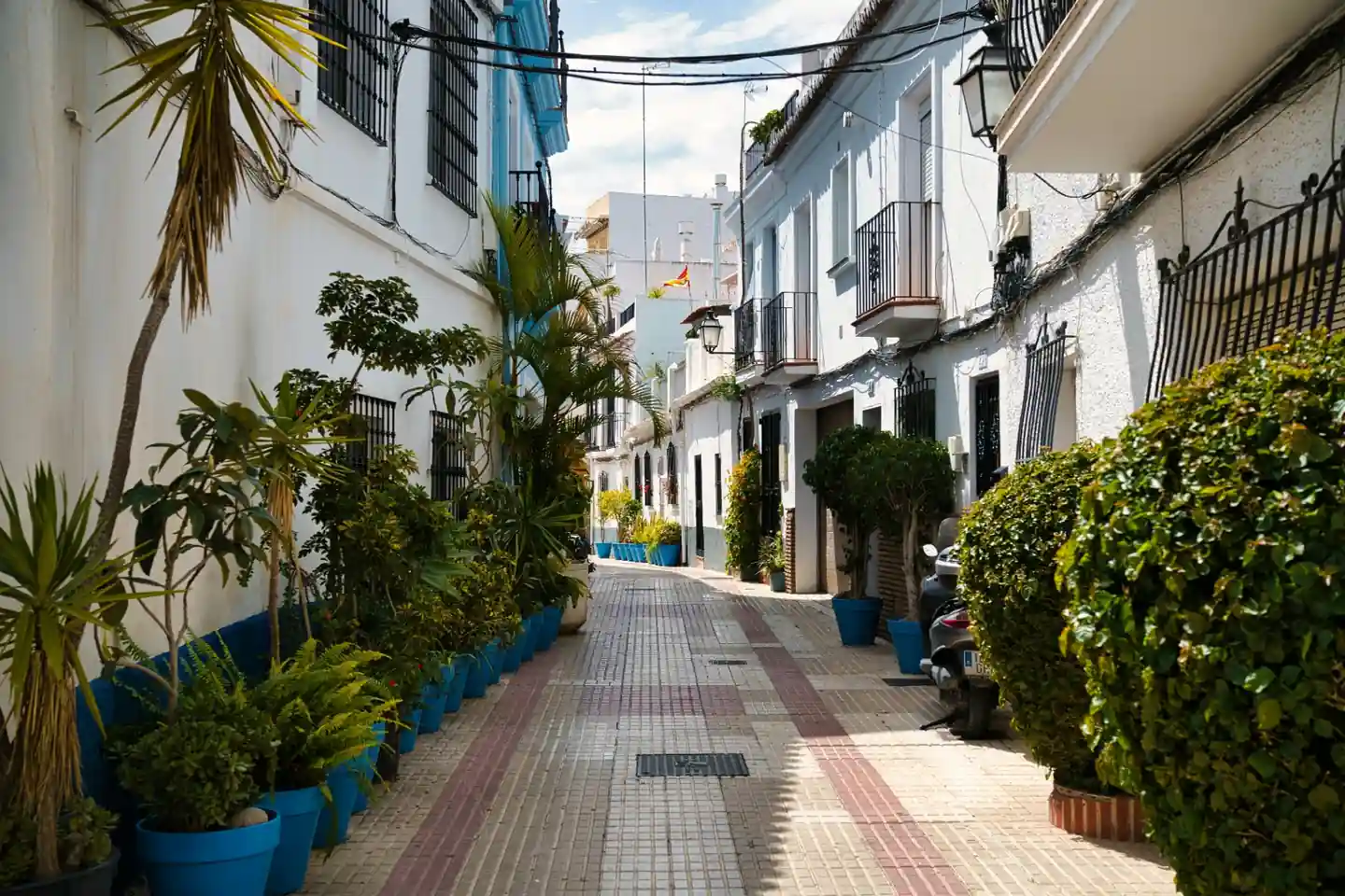 Quiet whitewashed street in Marbella's Old Town lined with palms, plants and traditional Andalusian houses