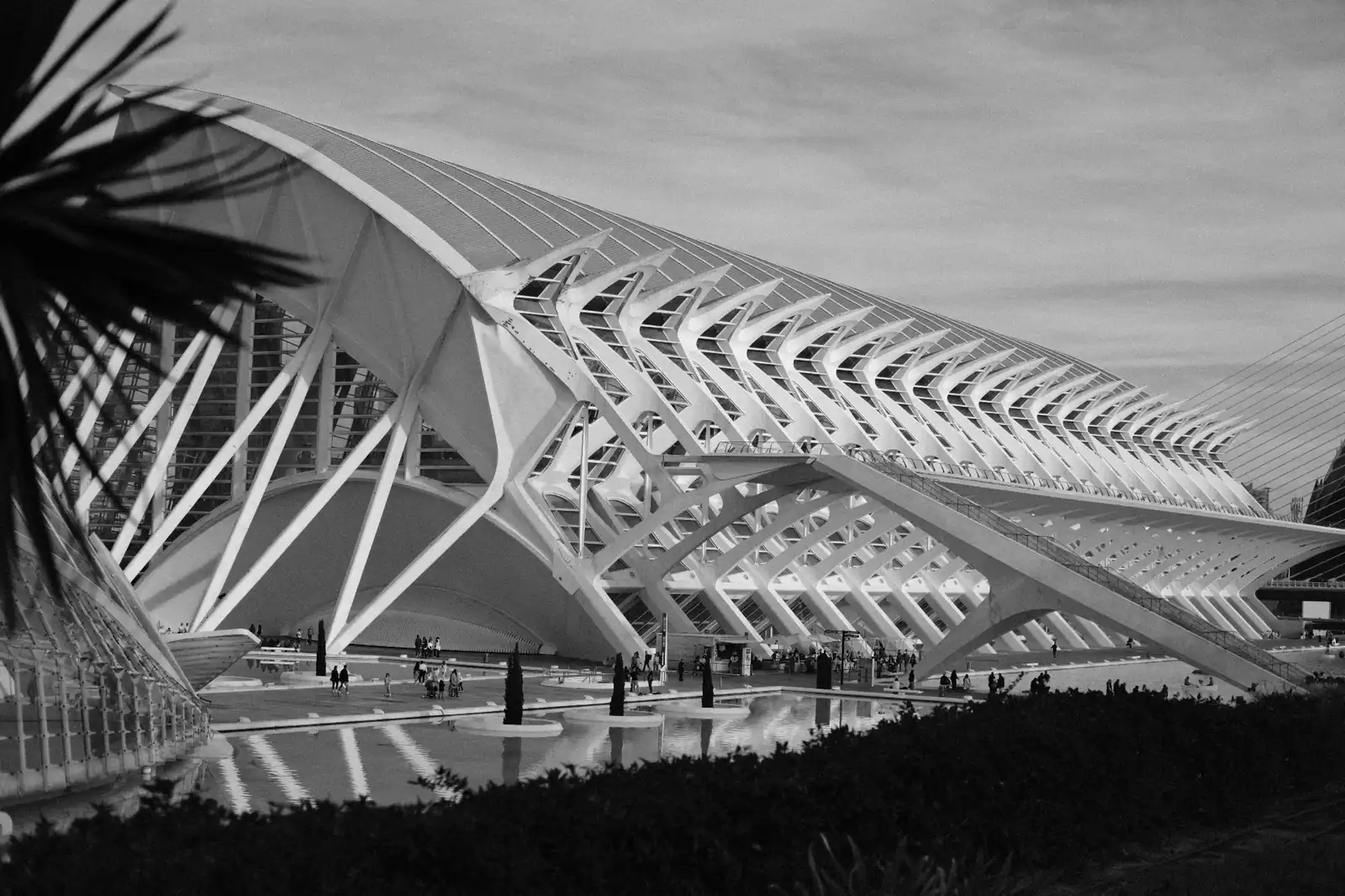 The Príncipe Felipe Science Museum in Valencia with its dramatic white skeletal ribbed structure by Santiago Calatrava