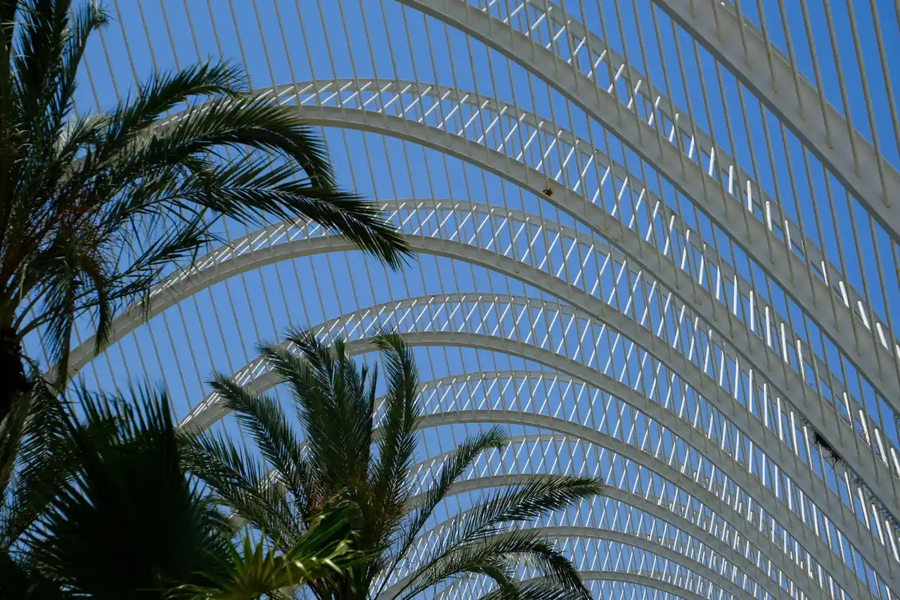White curved arches of the Umbracle promenade framing palm trees and blue sky in Valencia